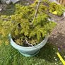plants Image 5