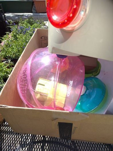 Hamster cage