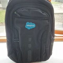 Laptop backpack