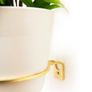 Brass Wall Plant Hanger - 2 different sizes Priced Individually Image 9
