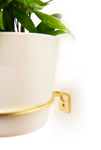 Brass Wall Plant Hanger - 2 different sizes Priced Individually