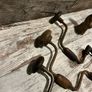 vintage Drills Image 4