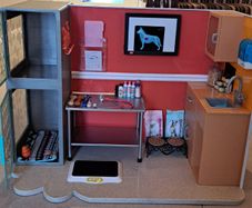 Our Generation Vet Set