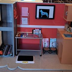 Our Generation Vet Set