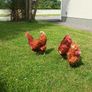 Chicken coop Image 5