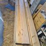 Douglas fir Image 5