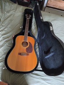 Tanglewood earth 200 acoustic guitar and hard case