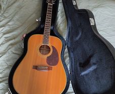 Tanglewood acoustic guitar and hard case