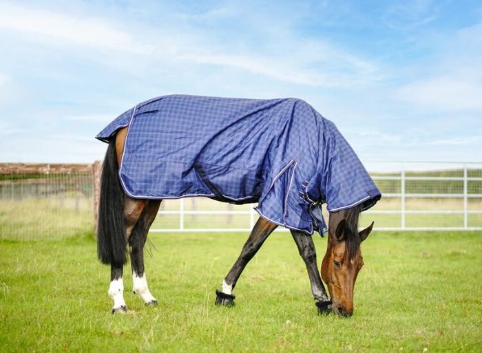 Horse Rug - Turfmasters Check Medium Weight, Waterproof, Full Neck 5'3"