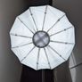 Pro Studio Light with Diffuser & Chrome Stand Image 4