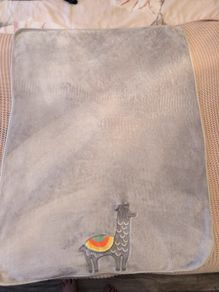 Baby blanket