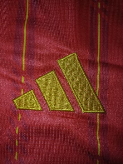 Spain World Cup Jersey