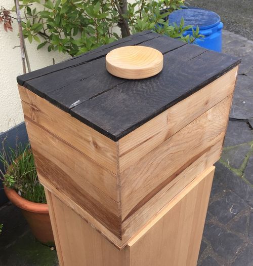 Cremation/Burial Casket