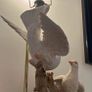 Vintage lamp two white porcelain doves. Image 2