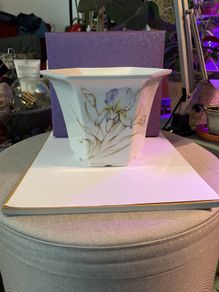 Vintage Royal Winton plant pot