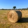 Bales of hay Image 2