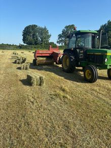 Hay