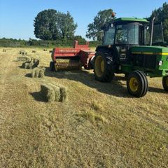 Hay