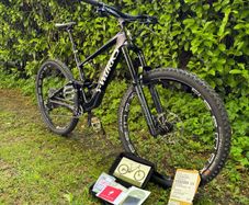 S Works Enduro