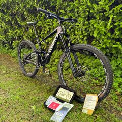 S Works Enduro