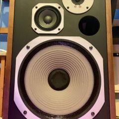 2 x pioneer hpm 100