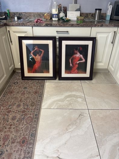 Flamenco prints