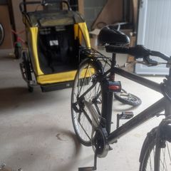 Children's Double Bike Trailer