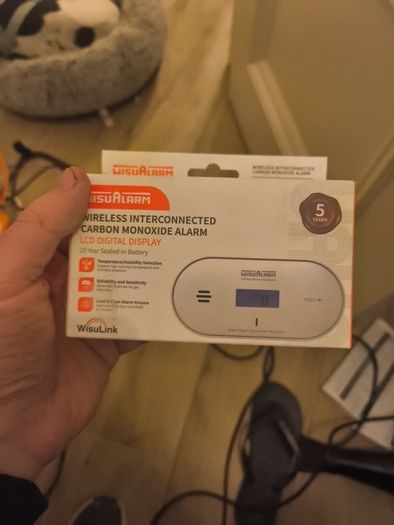 Carbon Monoxide Alarm