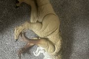 Distortus Rex