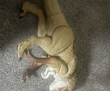 Distortus Rex