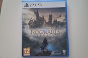 PS5 game Hogwarts Legacy