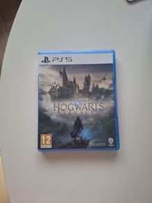 PS5 game Hogwarts Legacy