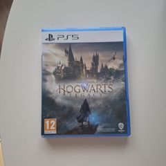 PS5 game Hogwarts Legacy