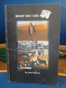 John Noonan, Republican memoir