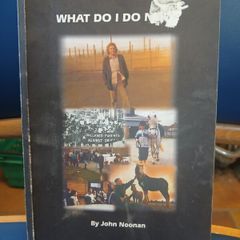 John Noonan, Republican memoir