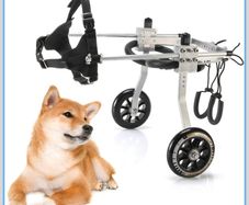 Pet Dog Wheelchair Hind Legs Rehabilitation Aid, Medium Size, 2 Wheels Adjustable, Light weight Aluminum, for Aging, Disable, Injured, Arthritis, Weak Dog/Cat