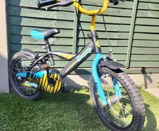 Kids 16 inch Champ Bike