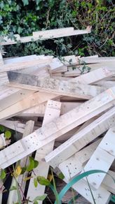 Free Wood