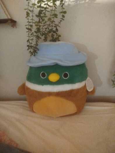 squishmallow