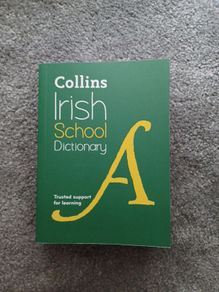 collins irish school dictionary easons