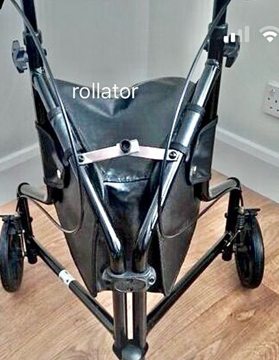 Days Mobility three wheel Walker plus Framed walker