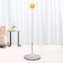 Reaction Training Set with Flexible Target 2 Paddle Bats Complete Set Image 4