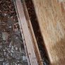 Sliding Patio Door Image 2