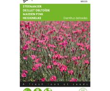 Buzzy Stone Carnation 'Carmine Rose' Seeds 0.25g | Sow in July