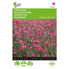 Buzzy Stone Carnation 'Carmine Rose' Seeds 0.25g | Sow in July