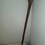 walking stick Image 3