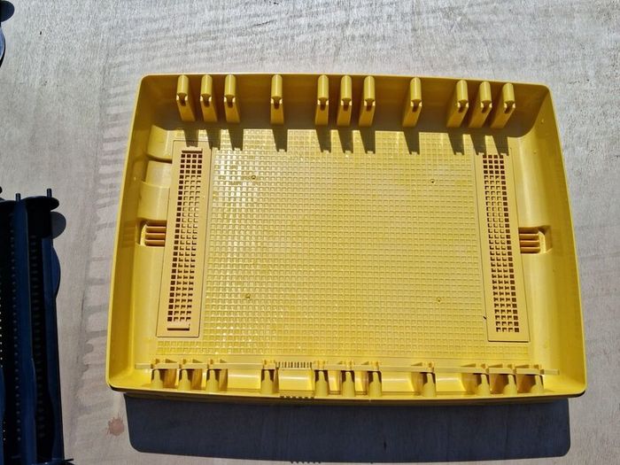 Egg Incubator