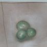 Pastel drawings Image 3