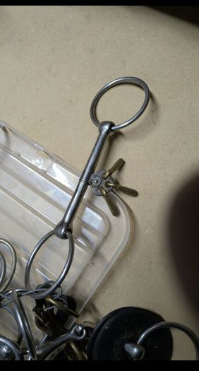 equestrian bits