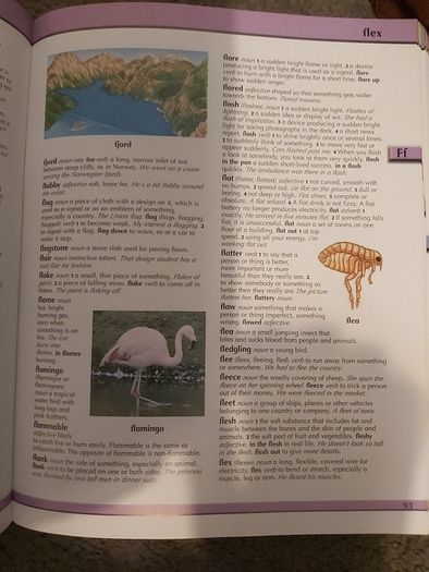 childrens illustrated dictionary